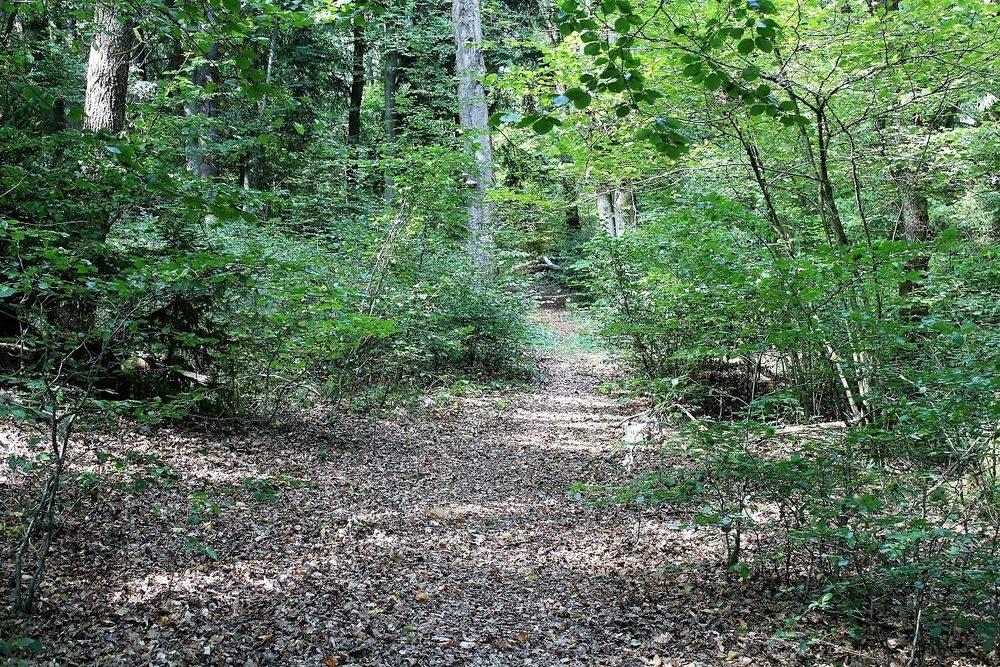 Hohlweg Haumche im Stadtgebiet von Meinerzhagen