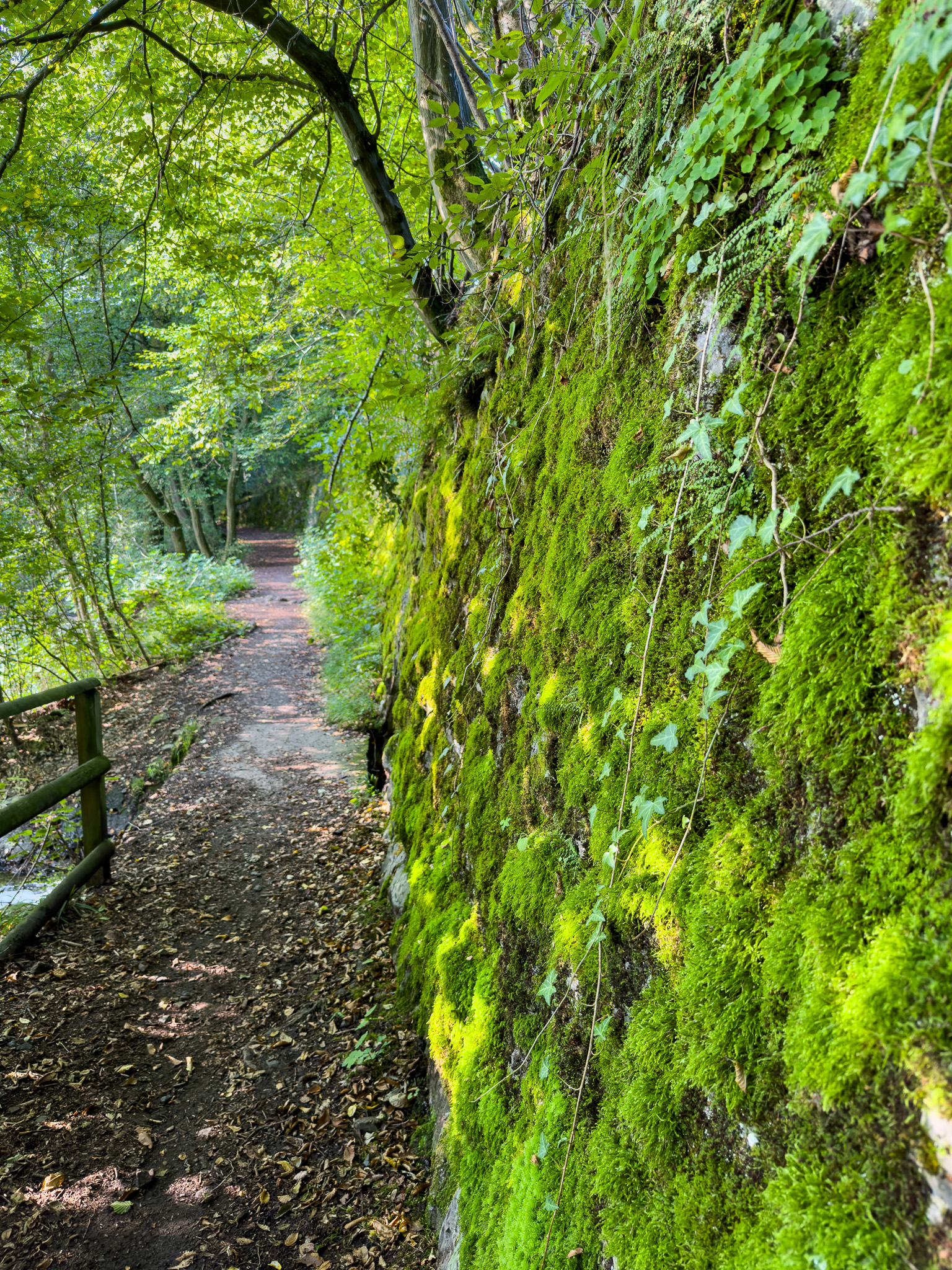 Zuweg Sauerlandroute 2