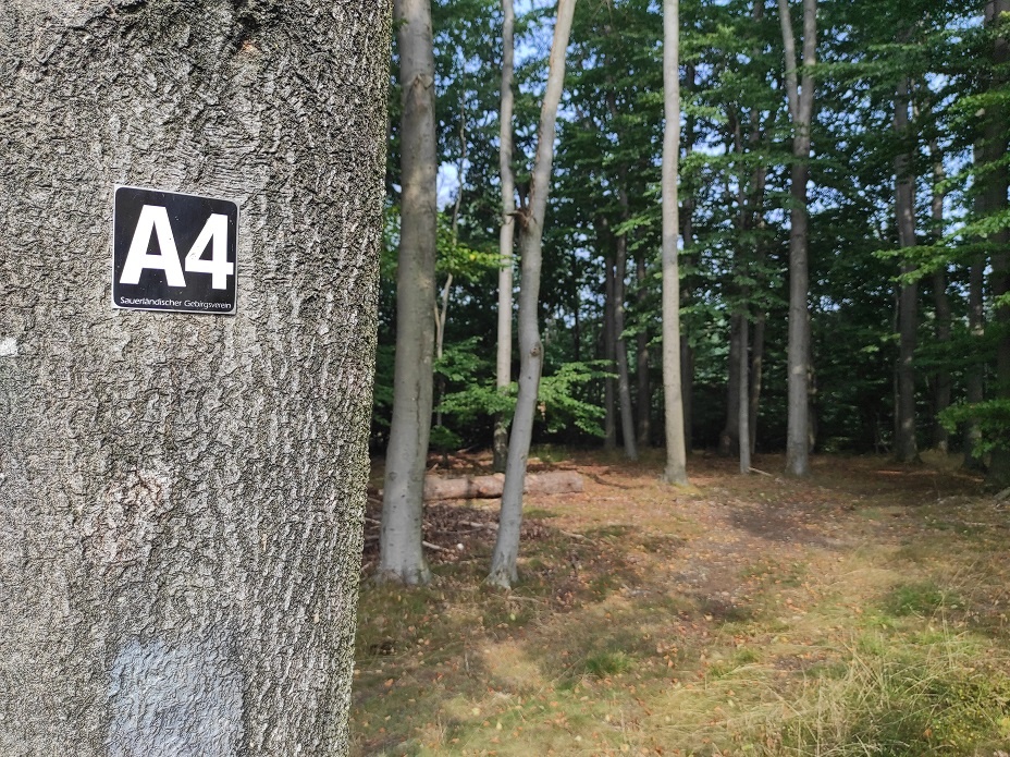 Der dort herführende Wanderweg A4