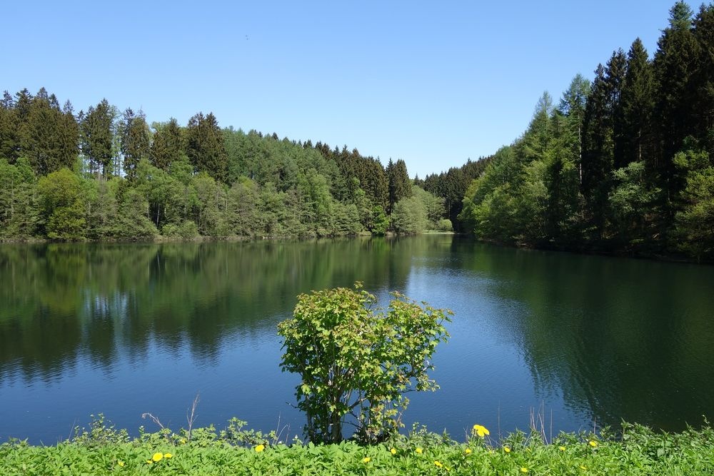 Das Vorstaubecken der Genkeltalsperre