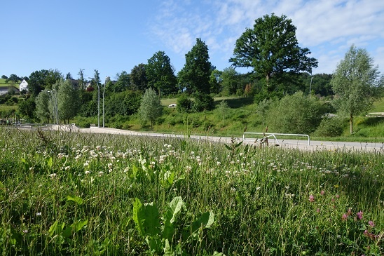 Volmefreizeitpark mit Sicht auf die Sagenbank