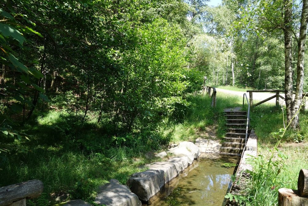 Die Anlage lädt zum Wassertreten ein