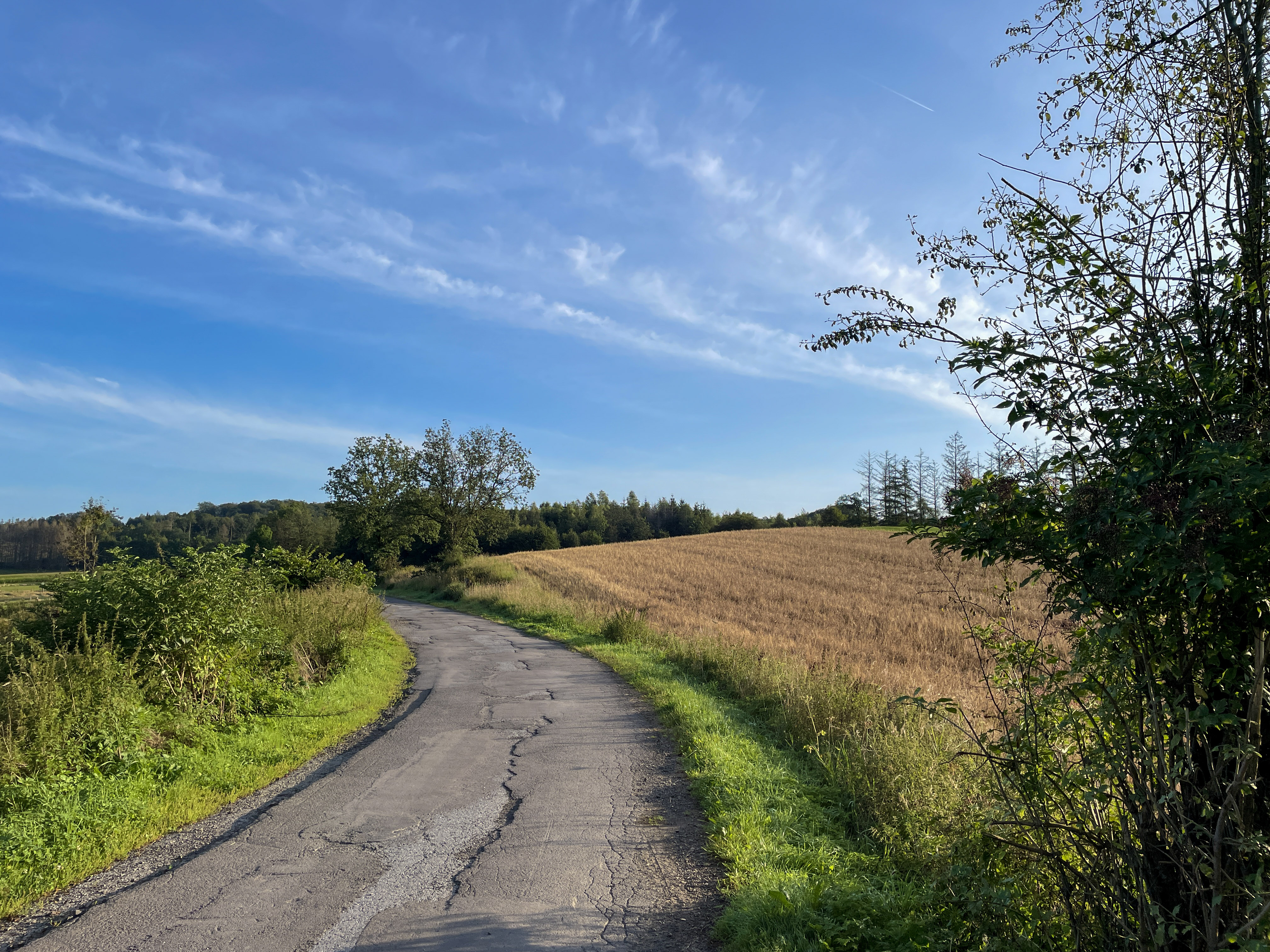 Aussicht von der Hexeneiche