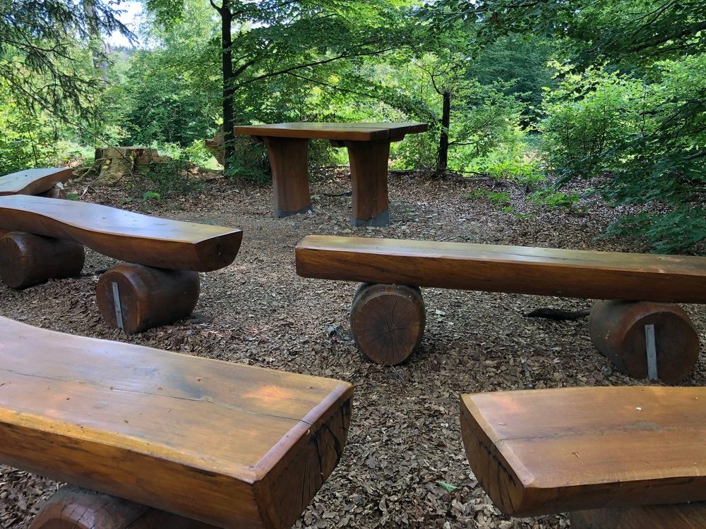 Das Klassenzimmer mitten im Wald