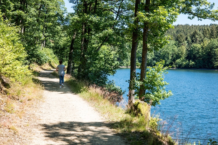 Spazierweg rund um die Jubachtalsperre