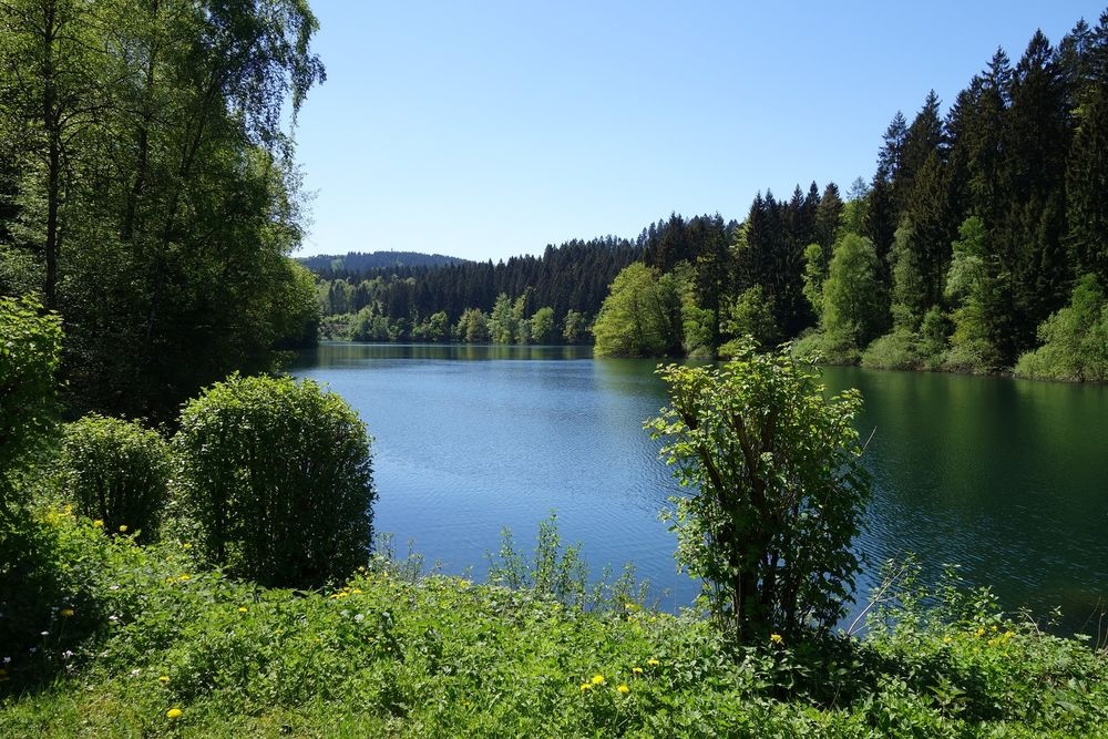 Entlang der Ufer führen verschiedene Wanderwege