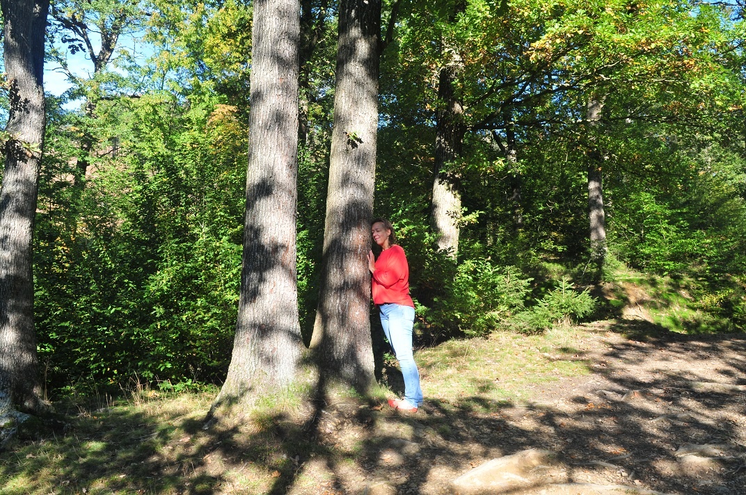 Entspannung pur beim Waldbaden