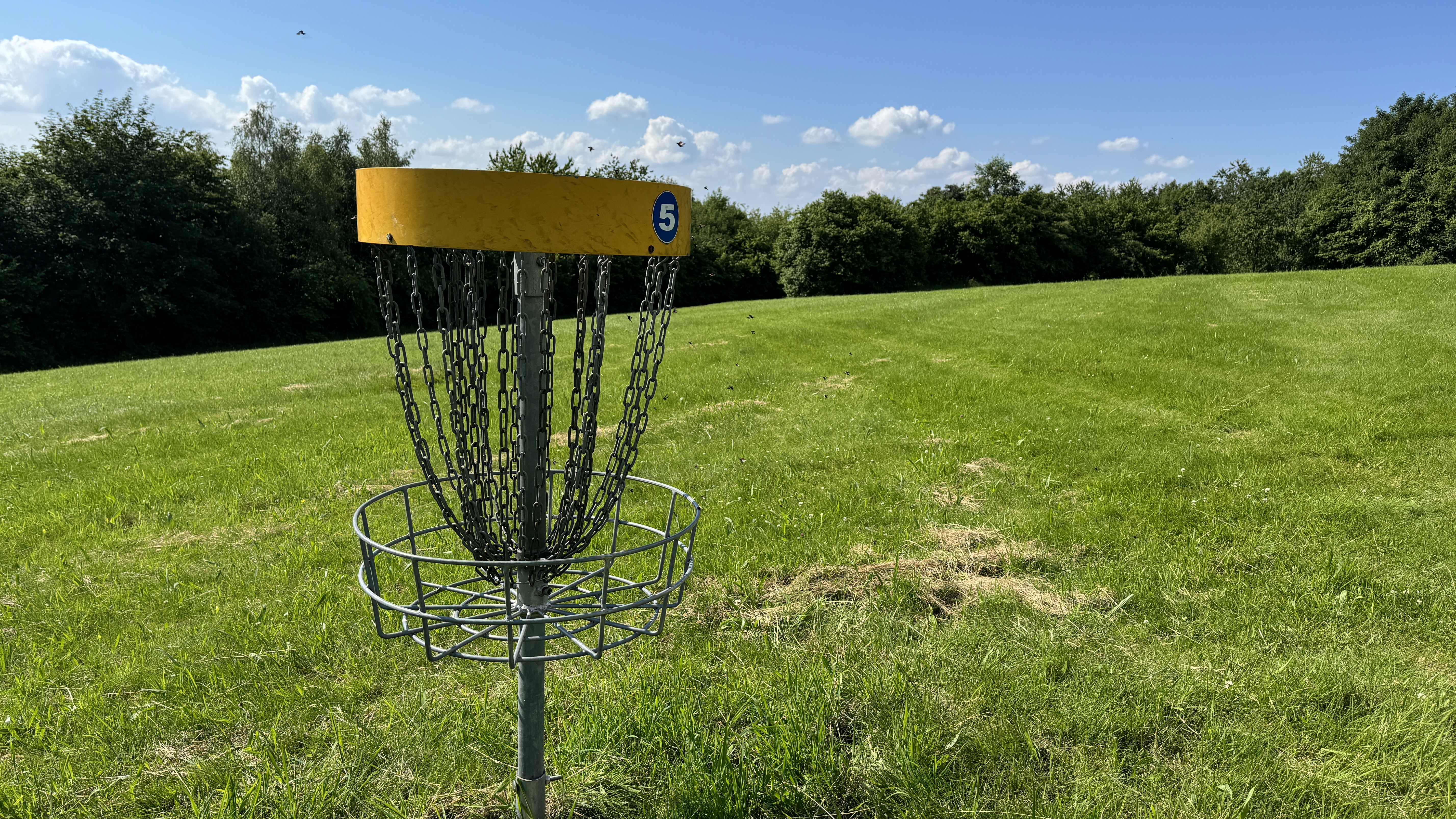 20240624 Discgolf Landhaus Nordhelle (3).jpeg