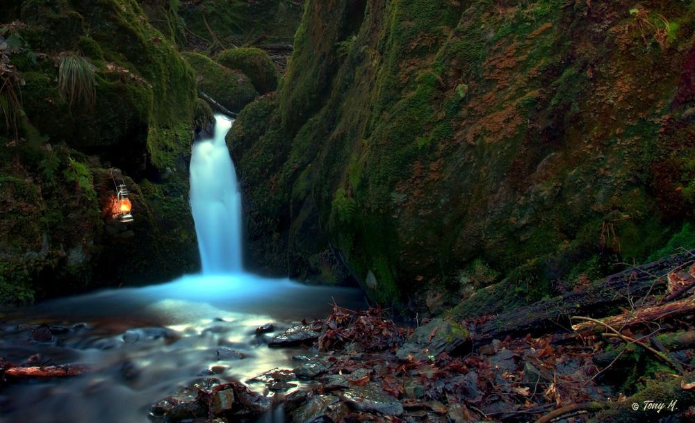 Naturschutzgebiet Bommecketal