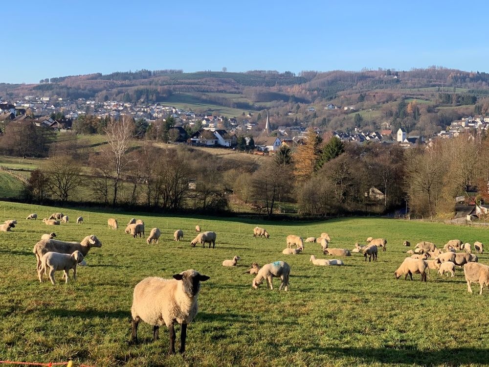 Blick auf Neuenrade