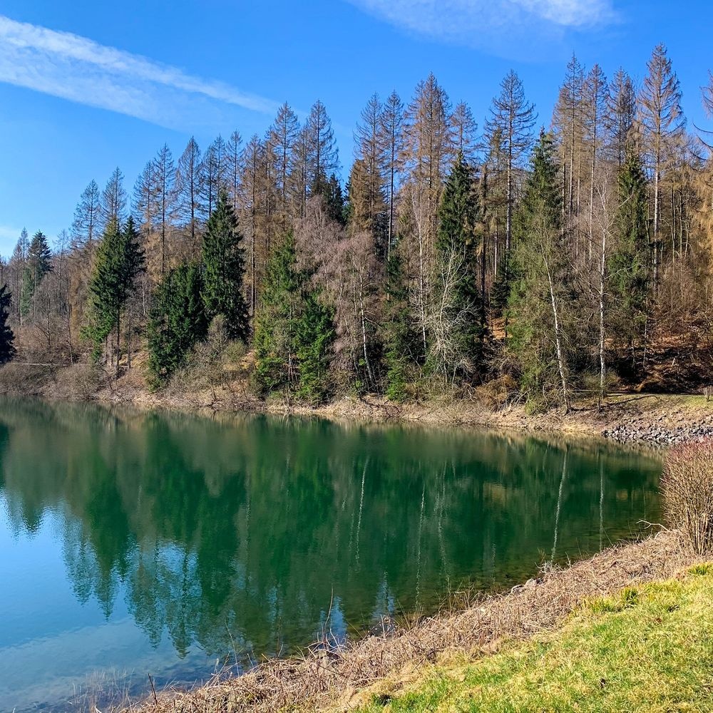 Das Ufer der Genkeltalsperre im Frühjahr