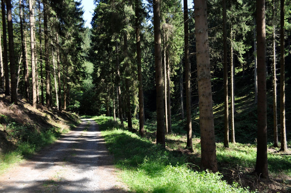 Naturschutzgebiet Bommecketal