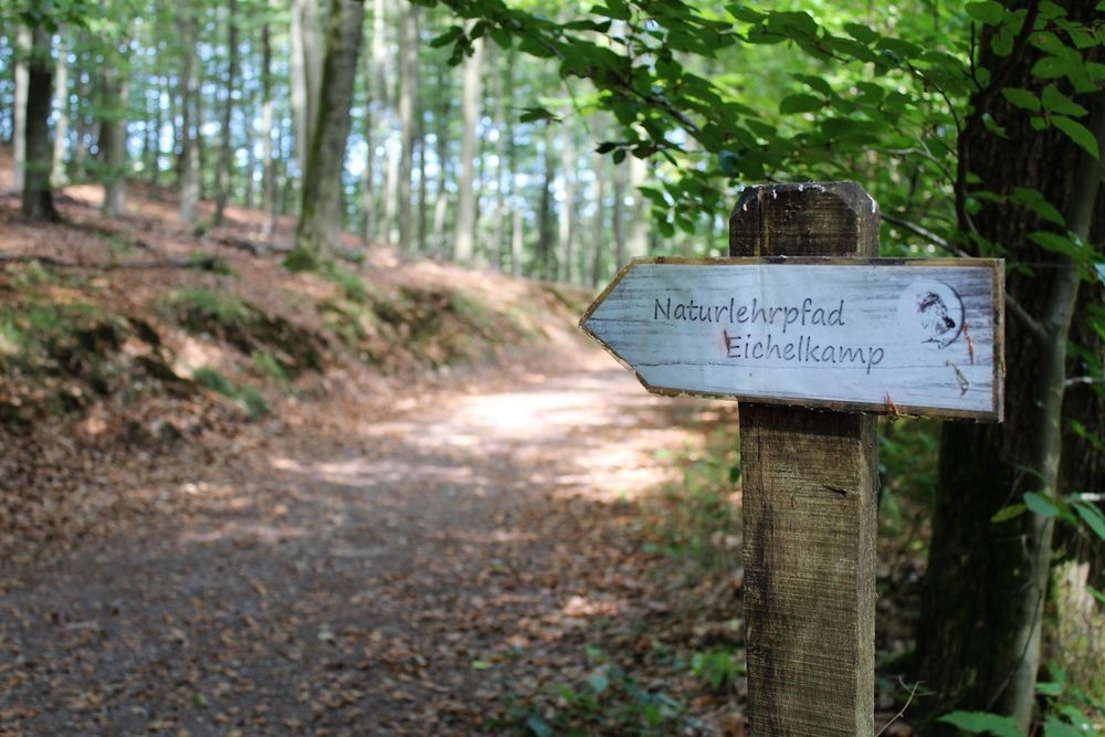 Hinweisschild zum Naturlehrpfad