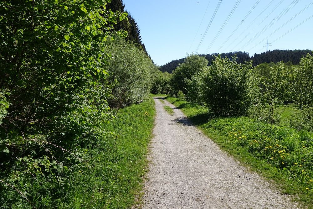 Fester Untergrund sorgt für sicheren Tritt