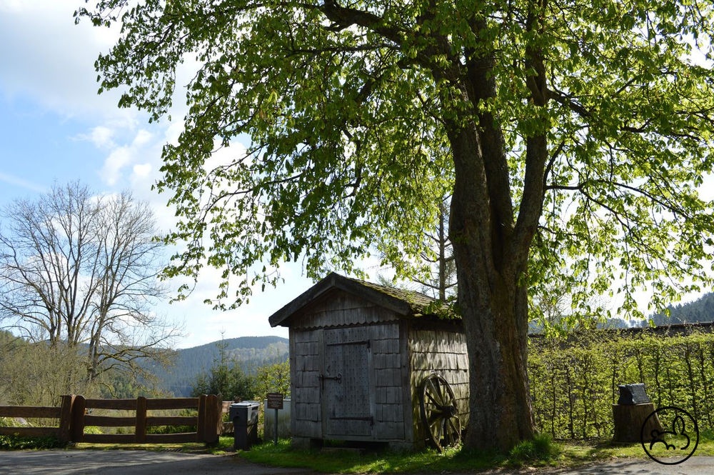 Haferkasten am Bauernhaus Wippekühl