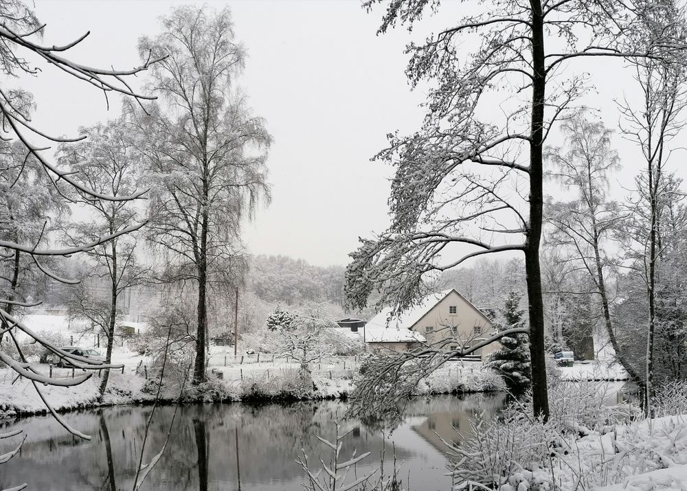 Winterwunderland am Ponyhof Isenburg