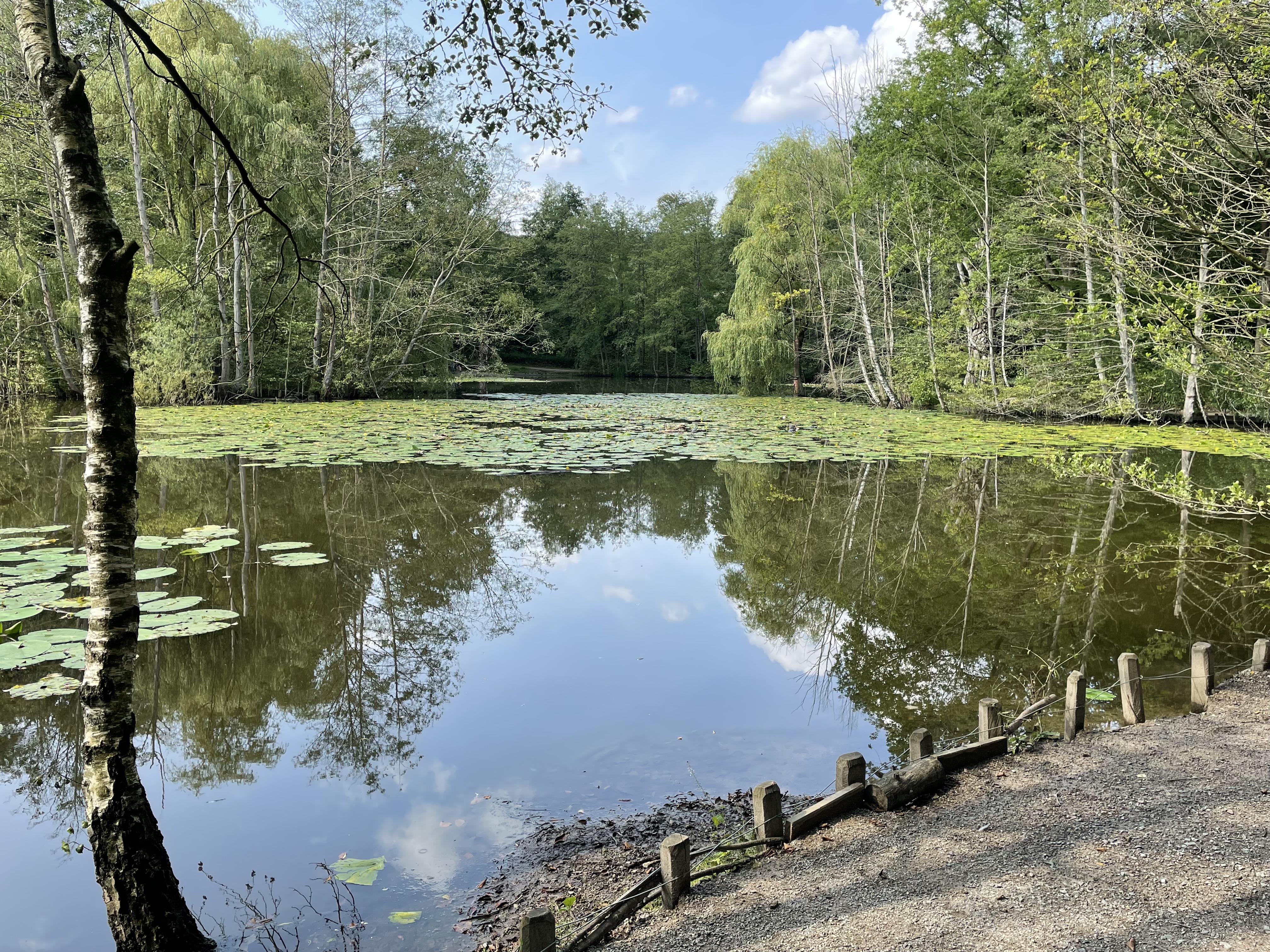 Blick auf Hexenteich