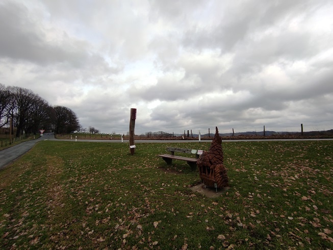 Scheuerpfahl Bürste