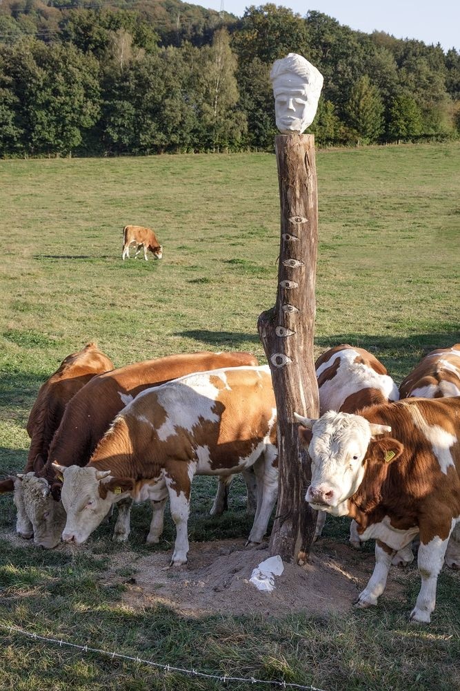 Der Scheuerpfahl auf der Weide