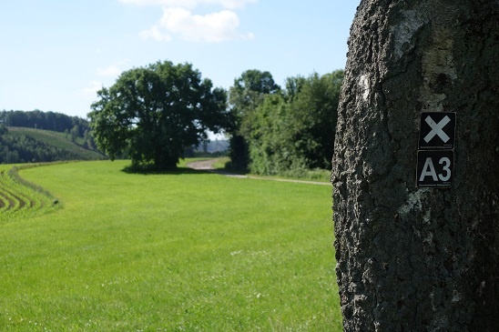 Der Wanderweg bei dem Sagenort