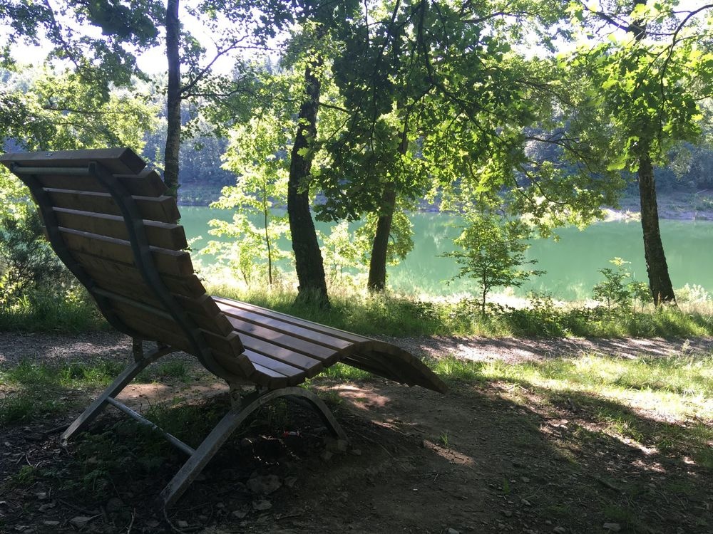 Waldsofa mit Ausblick