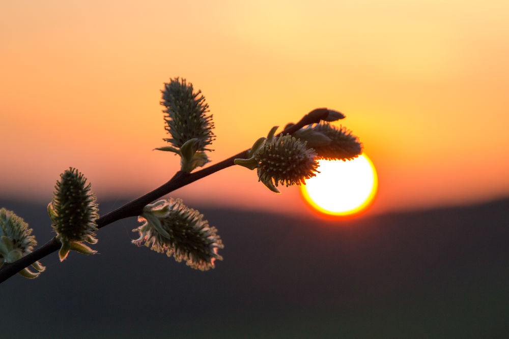 ... Sonnenuntergangsstimmung im Märkischen Sauerla