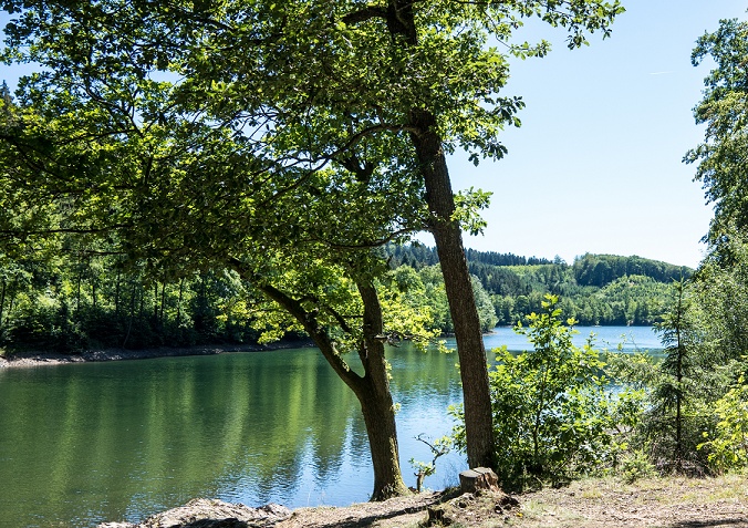 Blick über die Jubachtalsperre