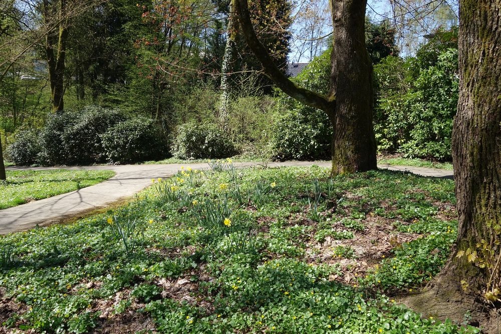 Der Frühling bringt die eine oder andere Blütenpra