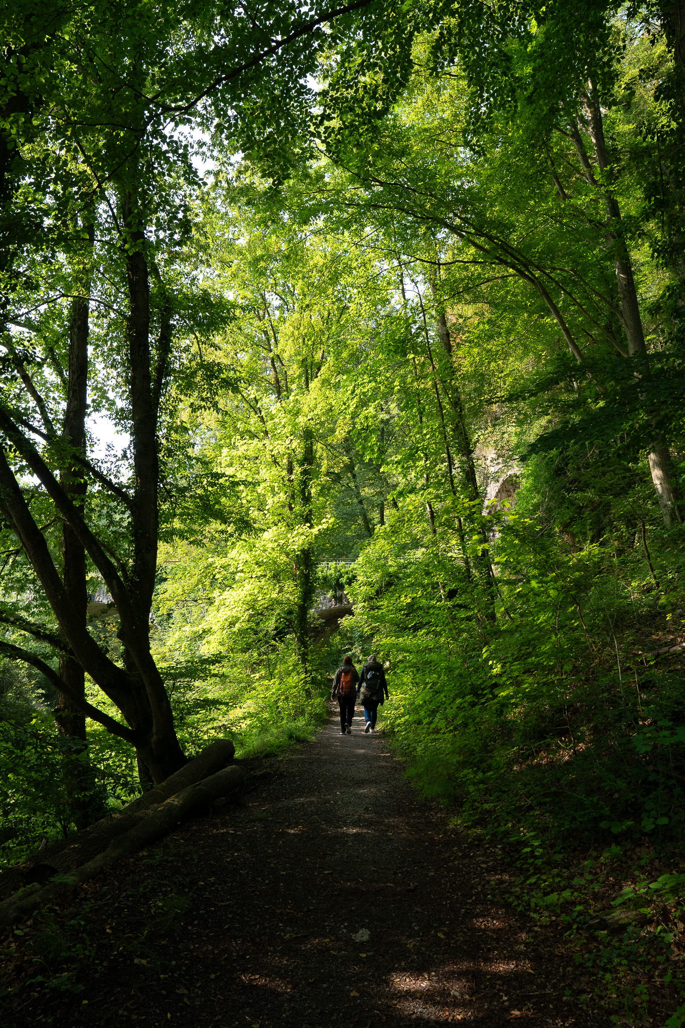 Zuweg Sauerlandroute