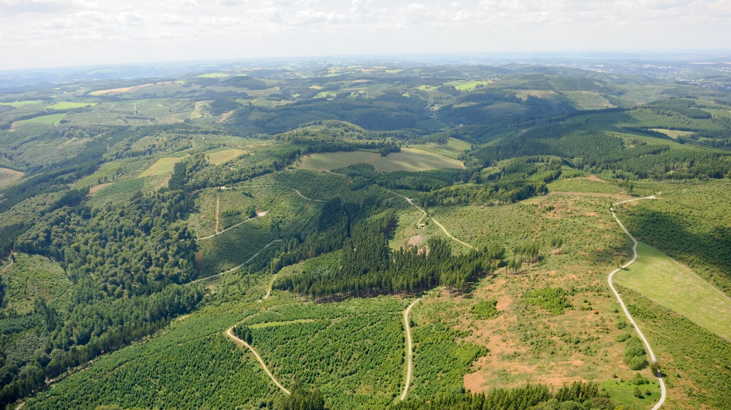 Weiter Blick über Balver Wald