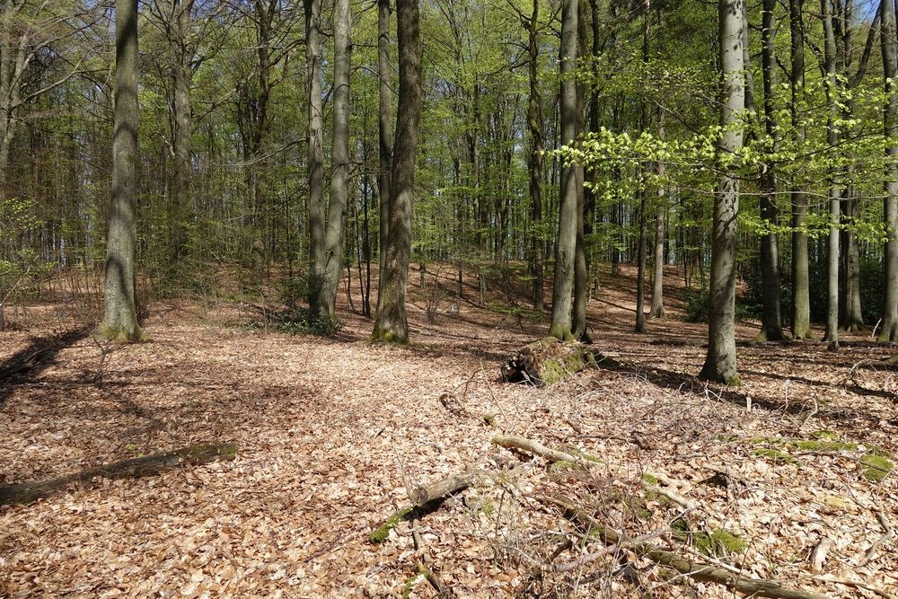 Natur pur im Naturschutzgebiet