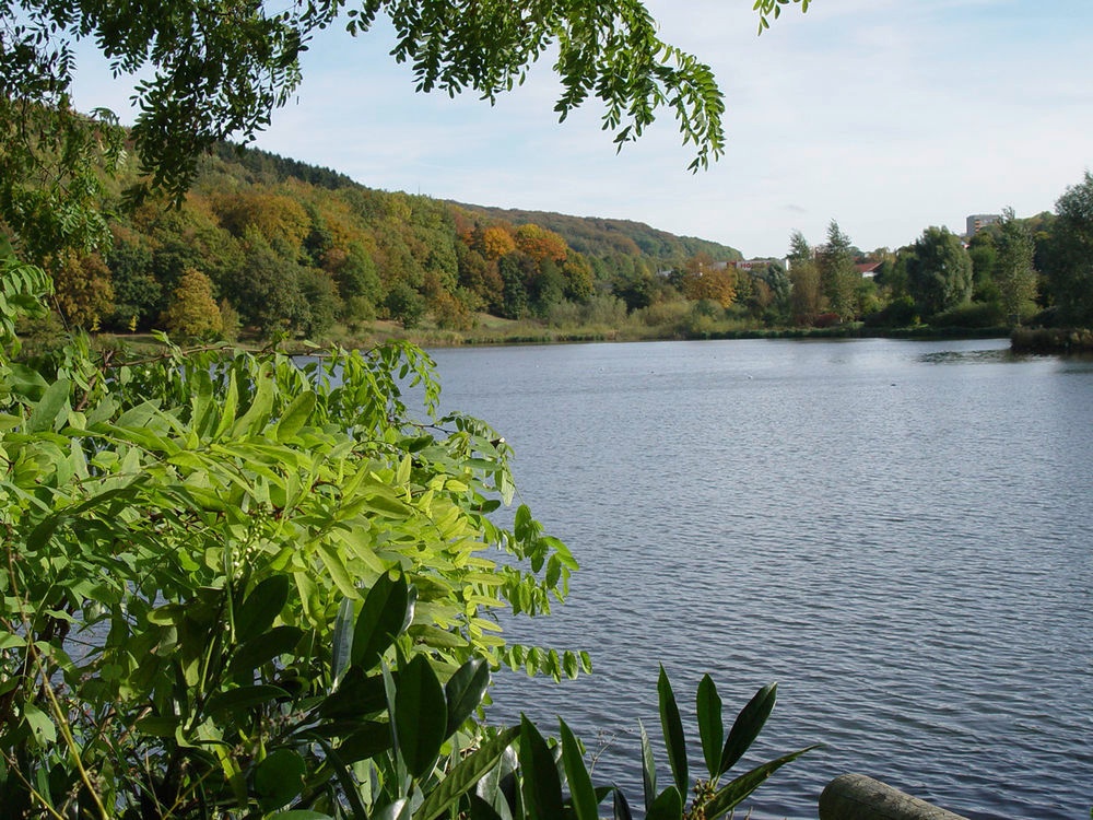 Seilersee im Sommer