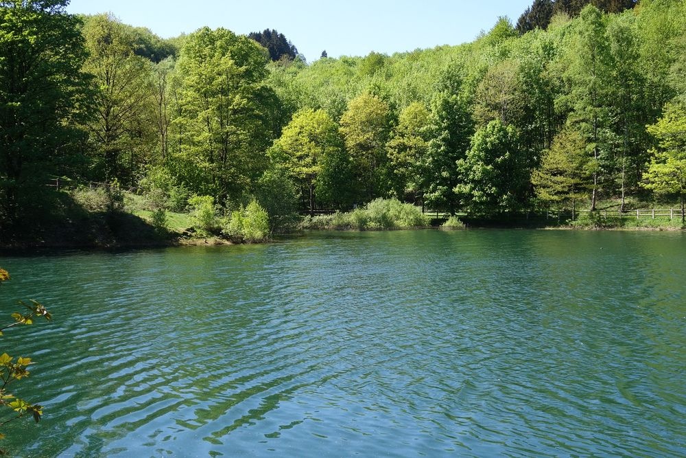 Der Uferweg führt entlang des Wassers und durch wu