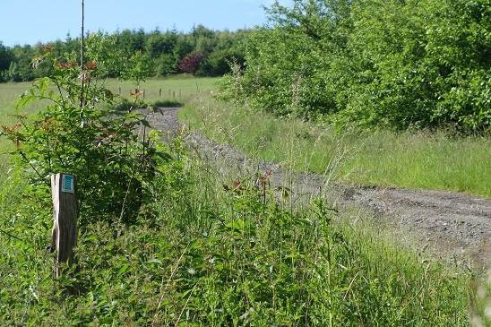 Volmeschatz Wanderweg