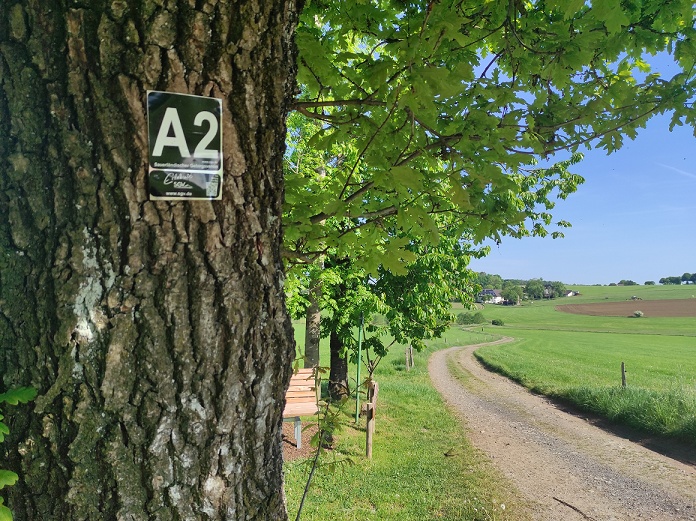 Der Wanderweg A2 führt zum Rastplatz