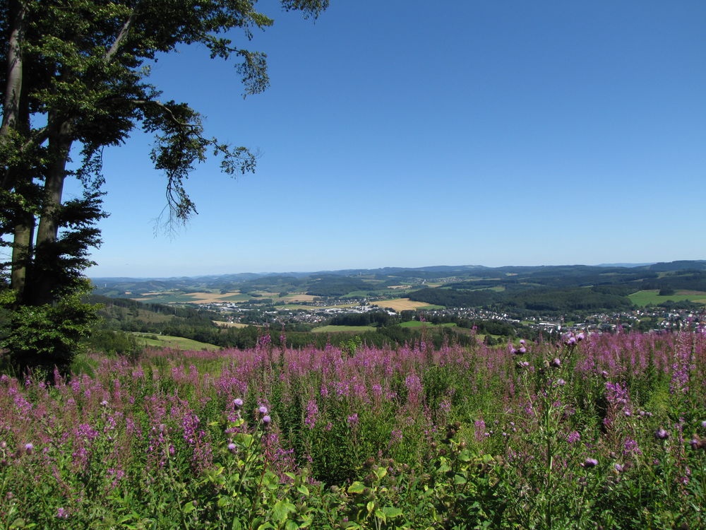 Blick auf Neuenrade