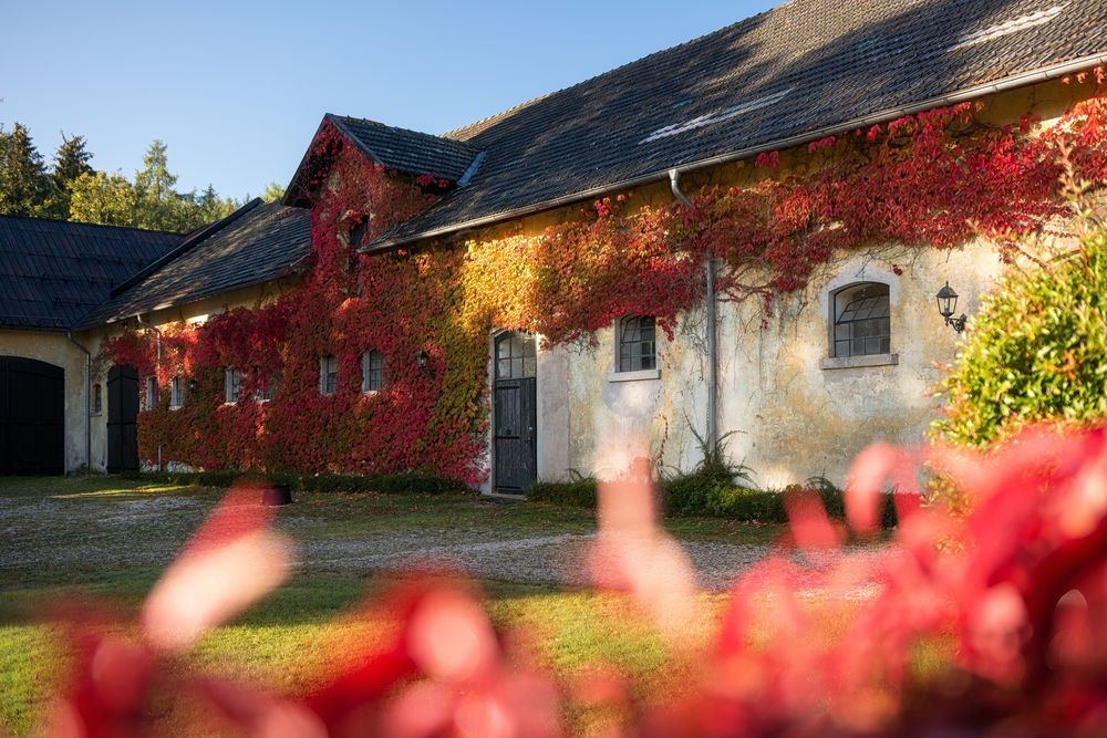 Romantische Stimmung am Gut Listringhausen