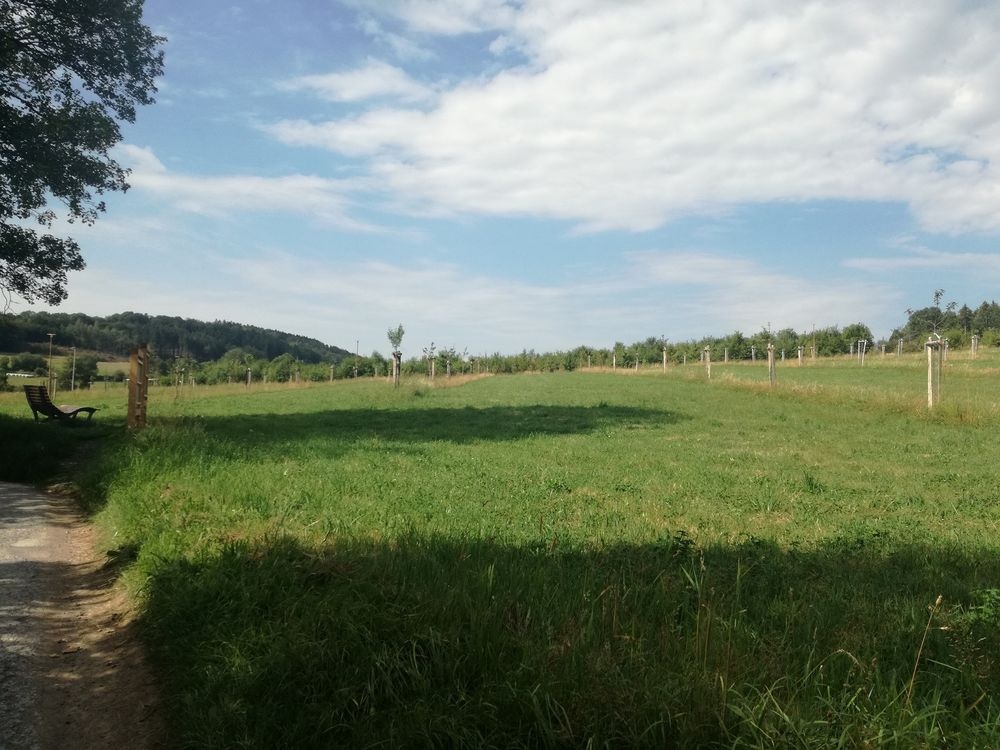 Blick auf den Obstsortengarten / die Streuobstwies