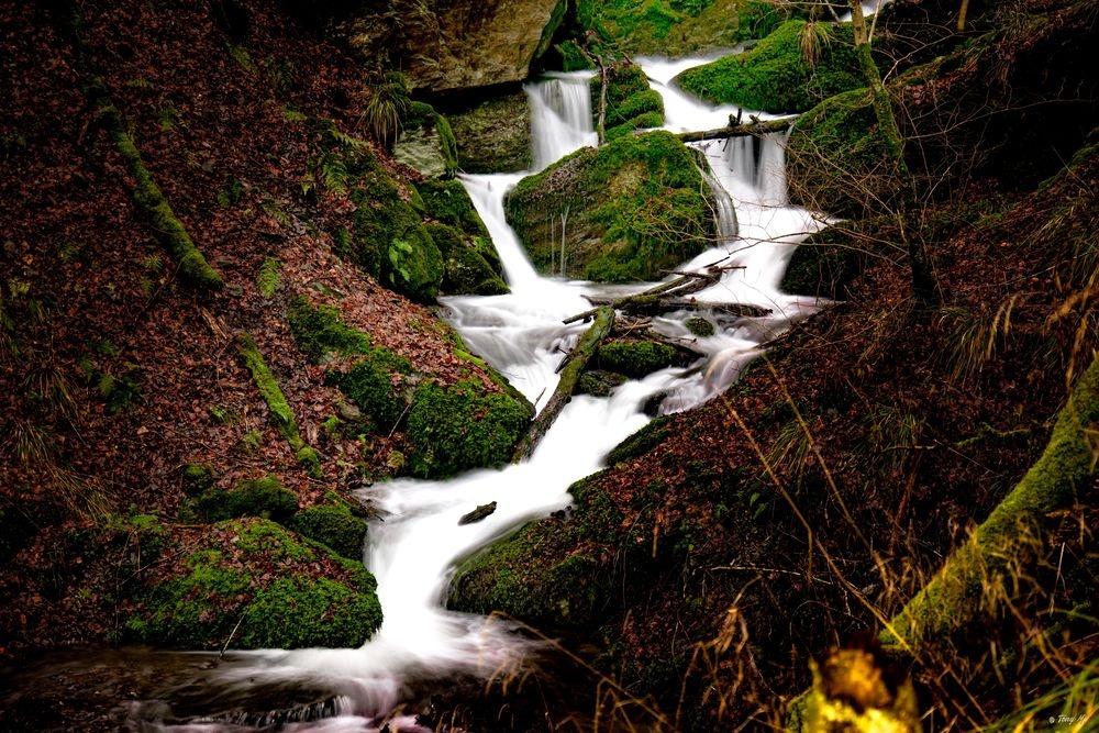 Naturschutzgebiet Bommecketal