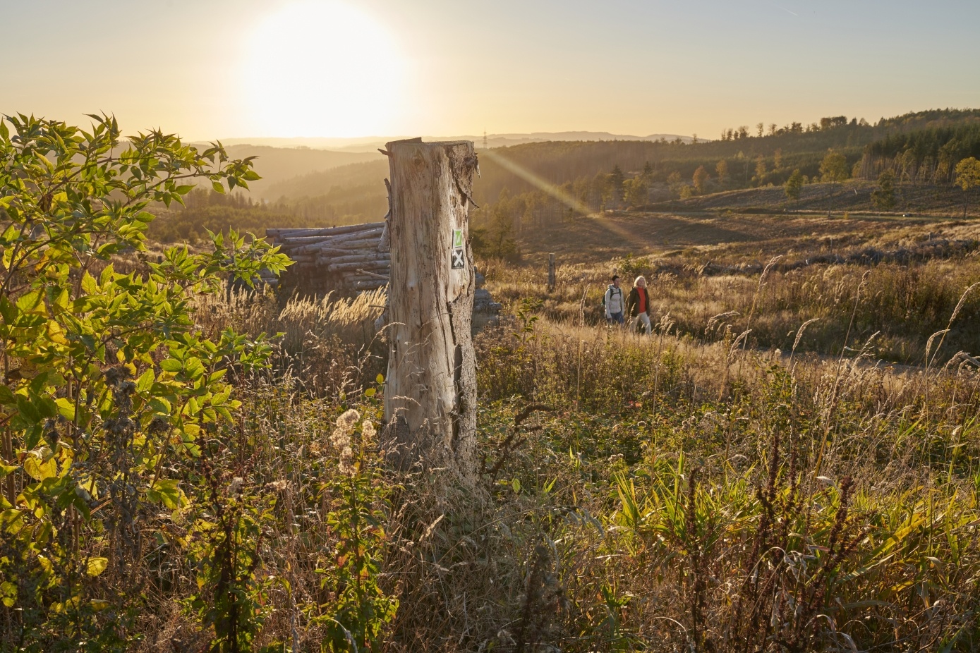 Sonnenuntergang auf dem Ochsenkopf zwischen Sundern und Arnsberg