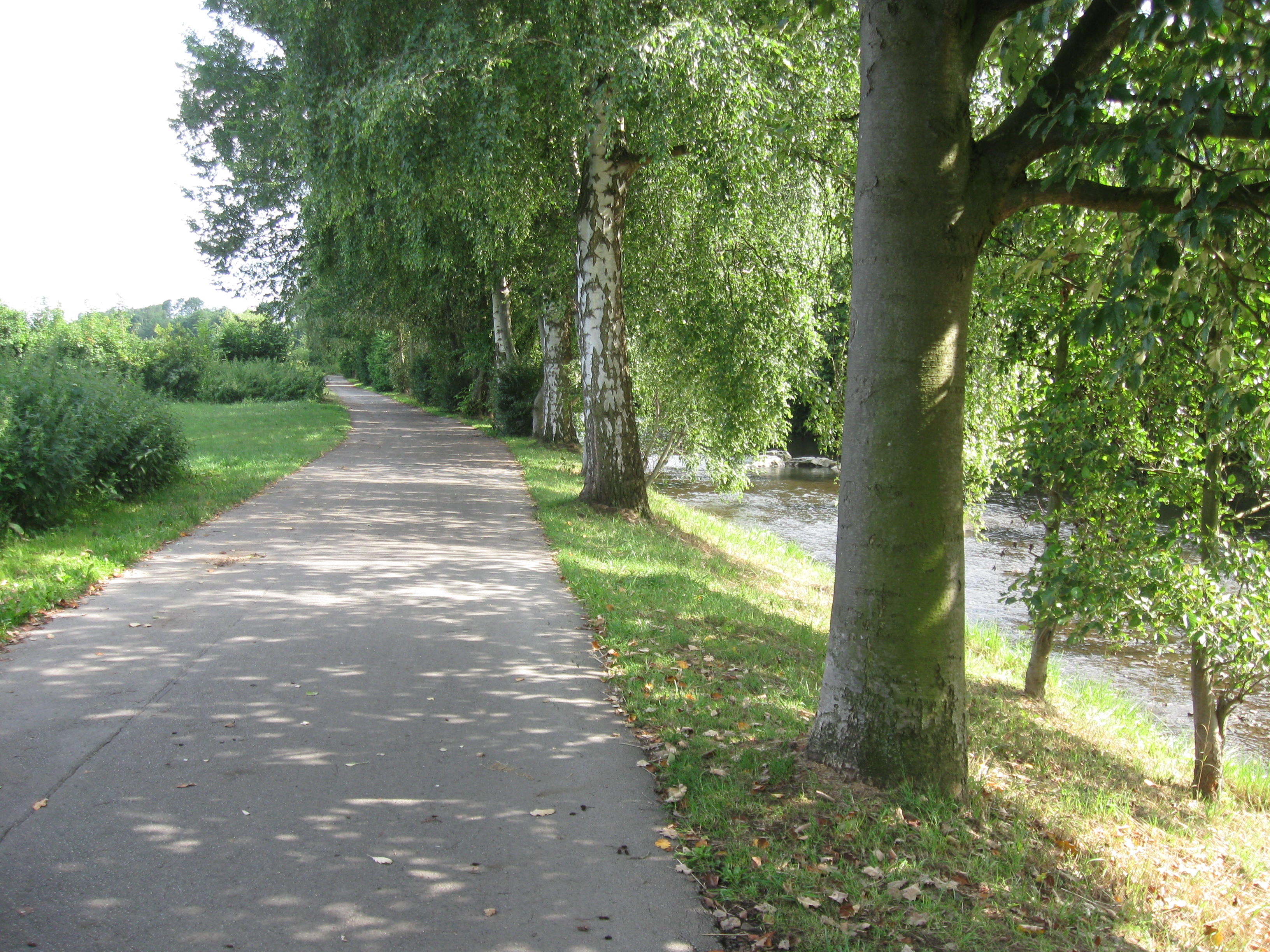 Radweg and der Hönne