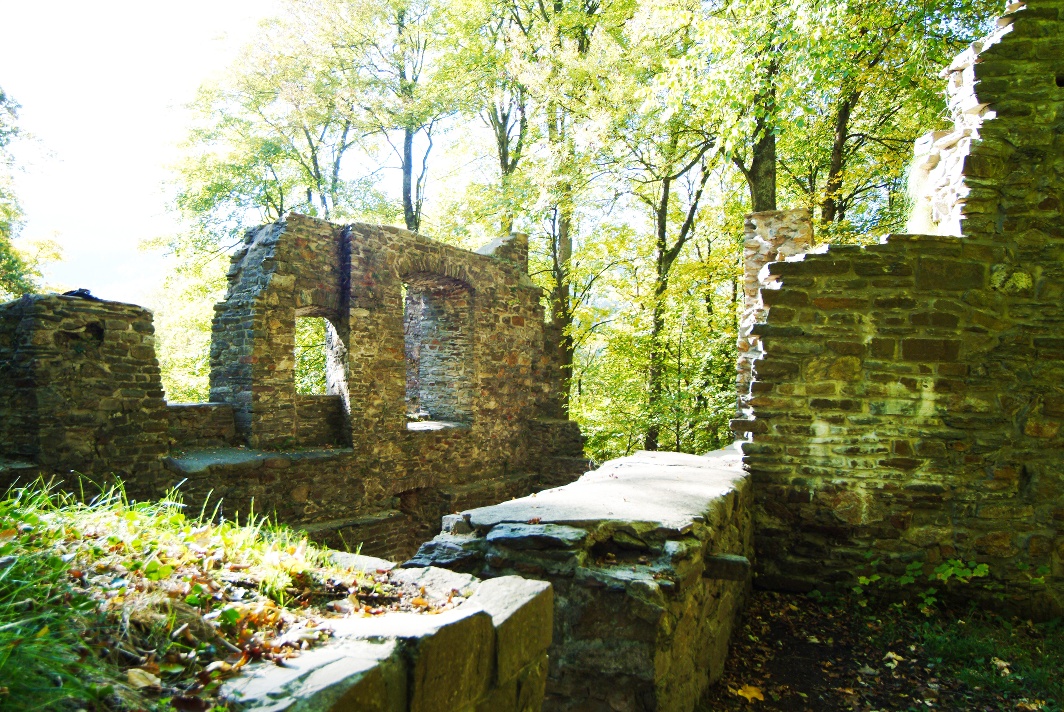 Burgruine Schwarzenberg