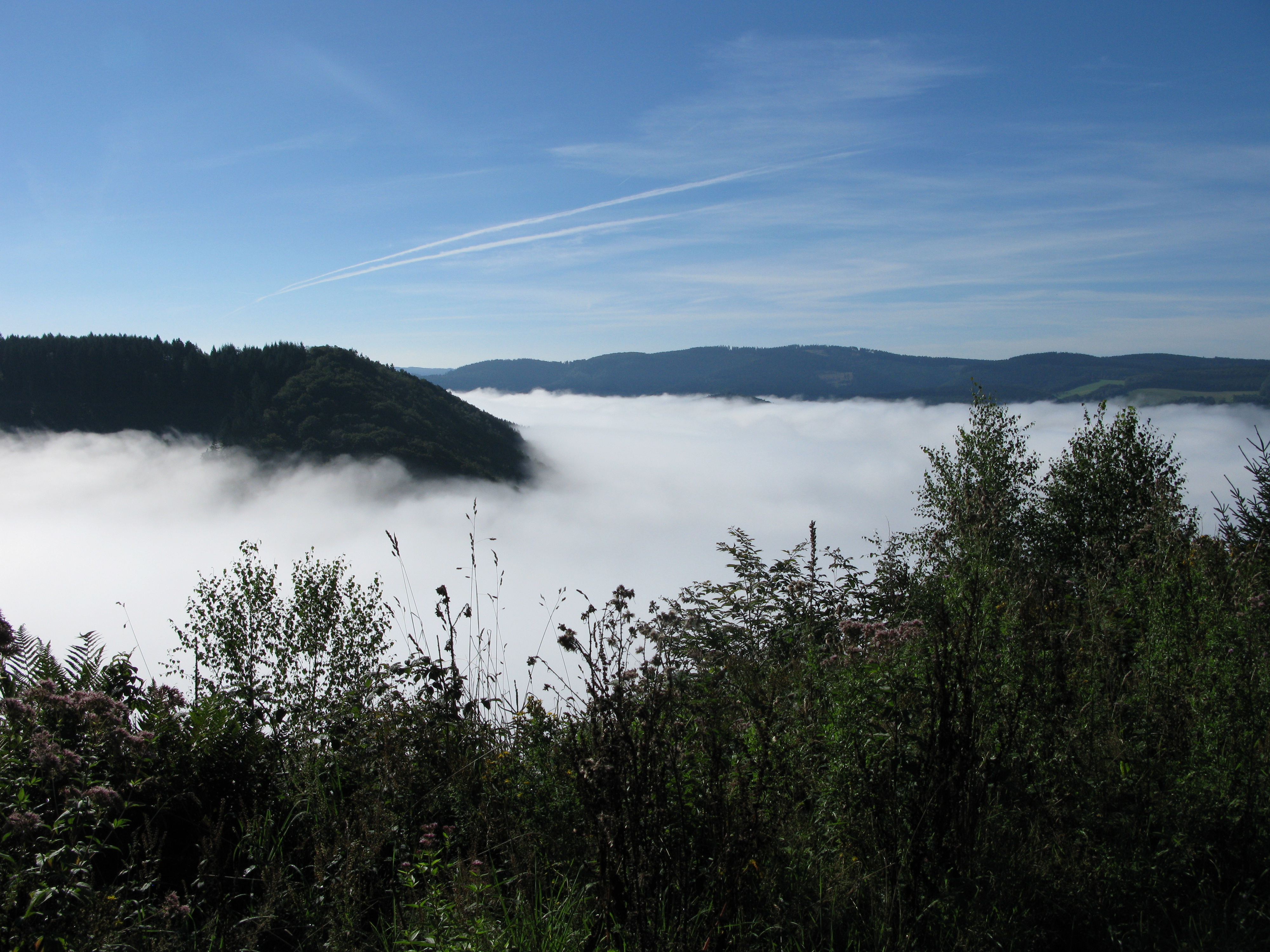 Lennetal im Nebel