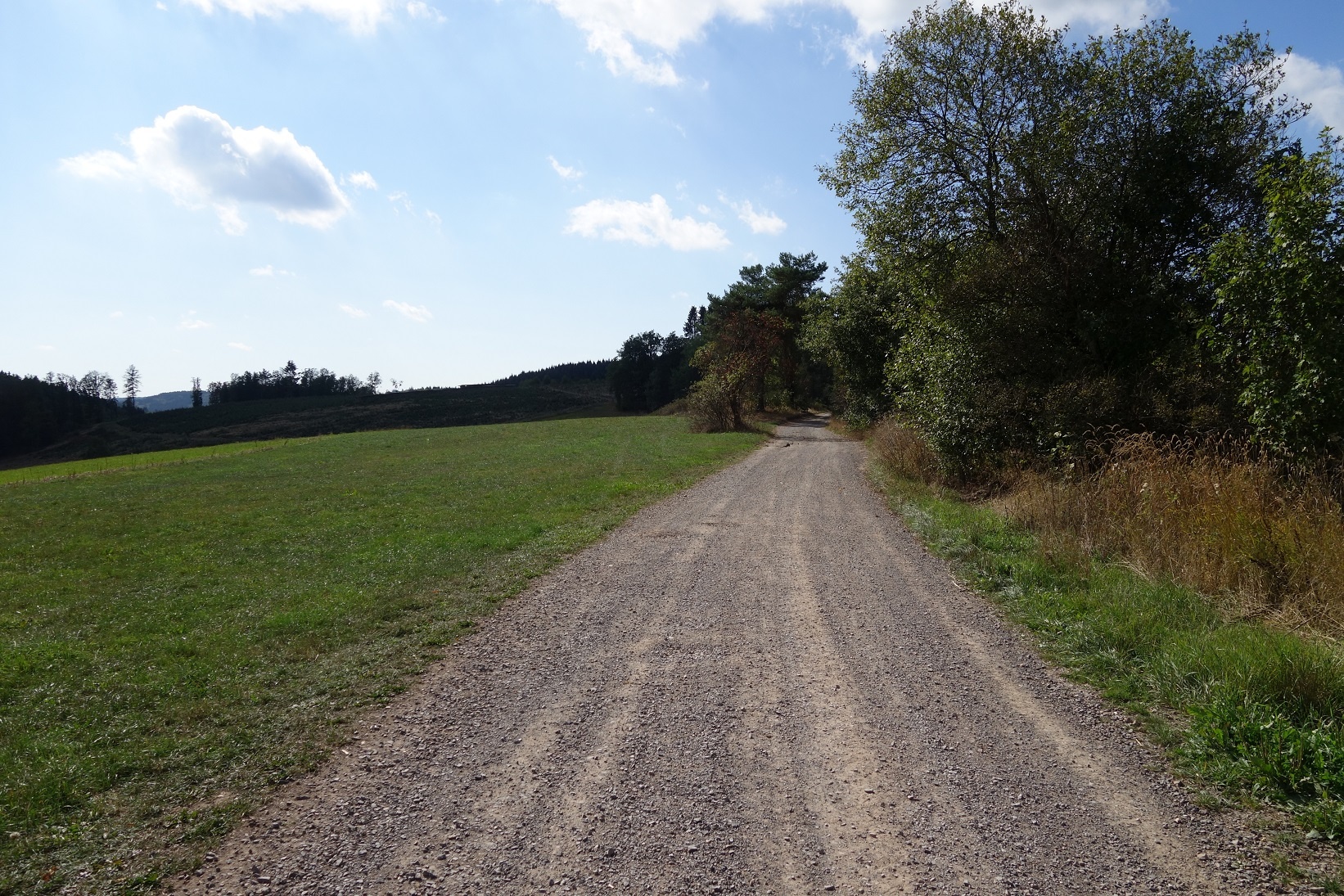 Wegeverlauf kurz nach dem Start