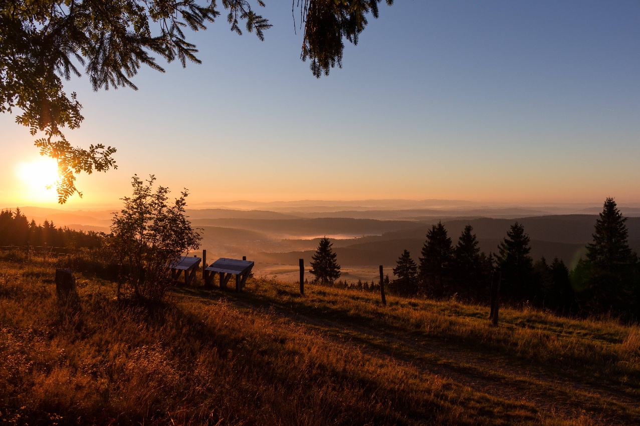 Blick bei Sonnenaufgang vom Kalied auf die Medebacher Bucht