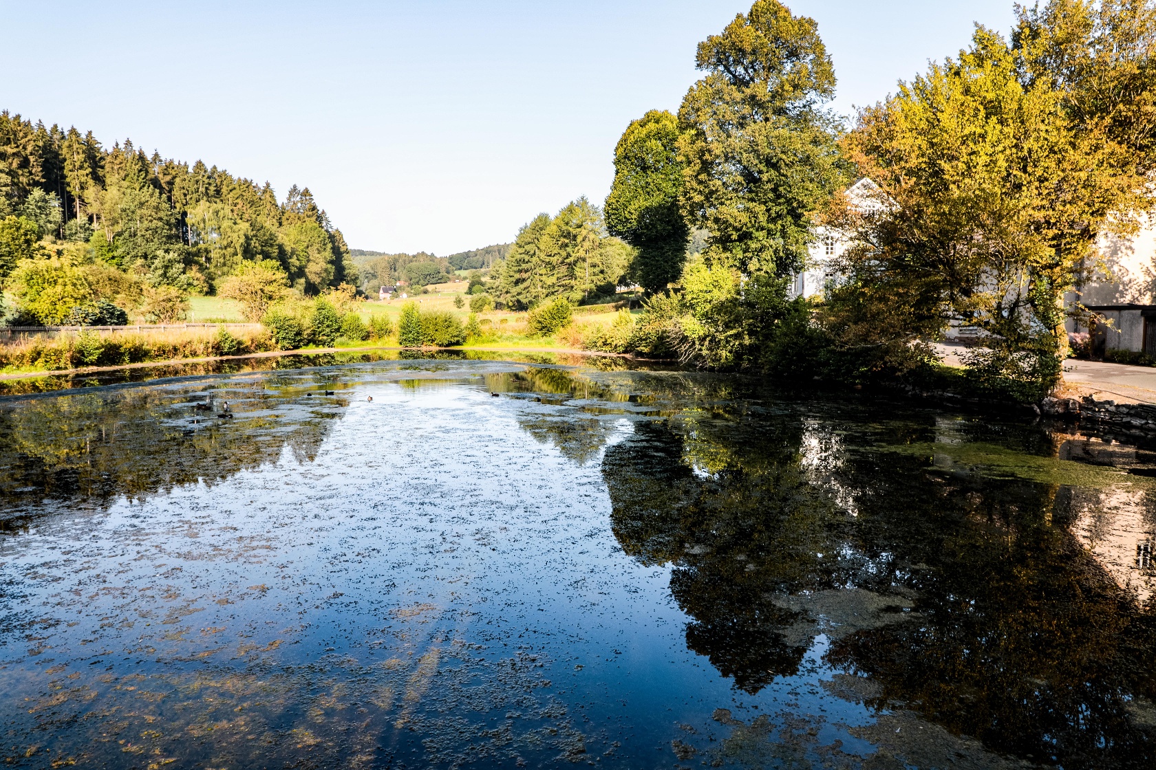 Fischteich am Ende bzw. Anfang des Schlechtenbachtals