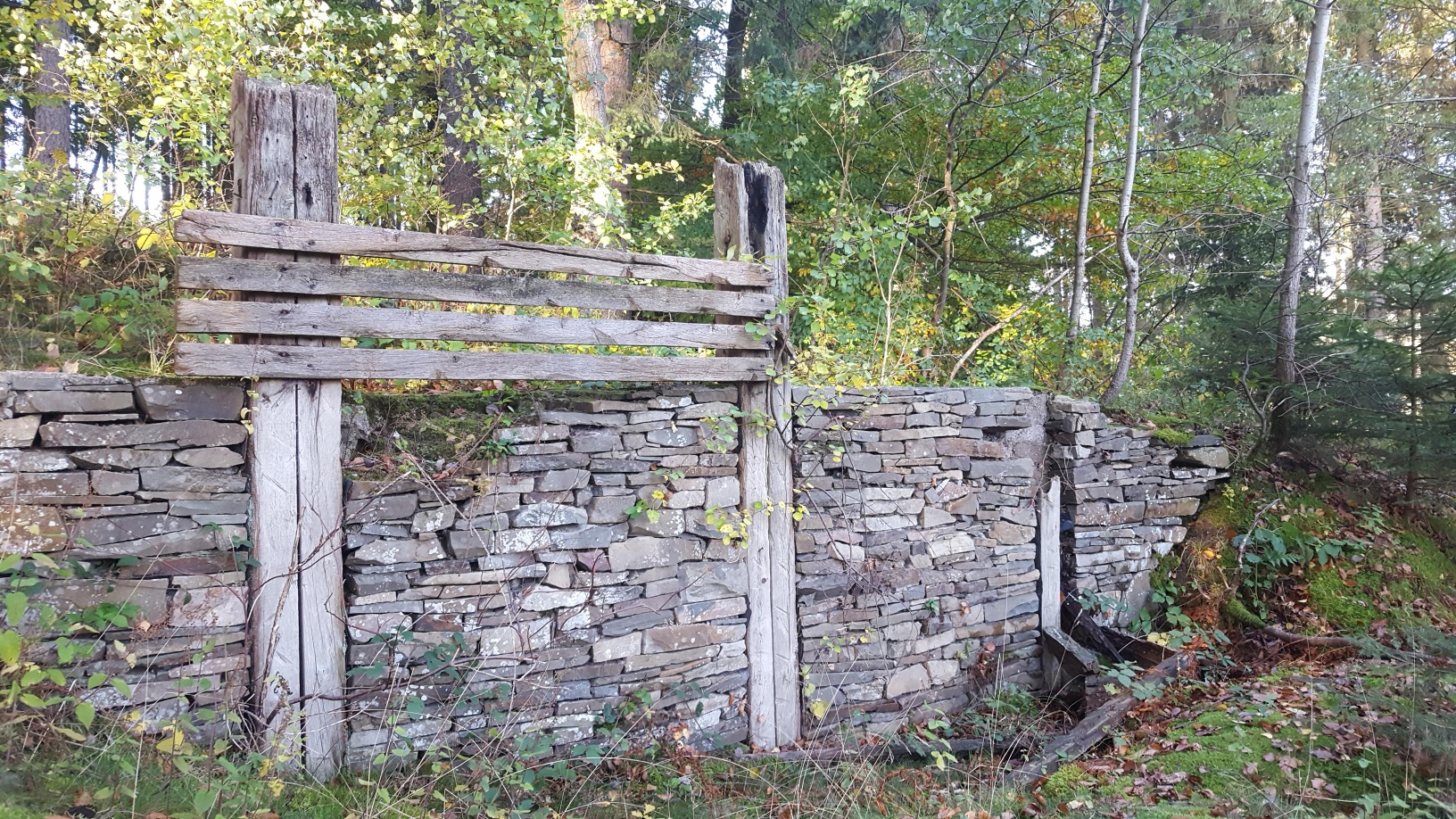 Die Wallburg auf dem Sundern