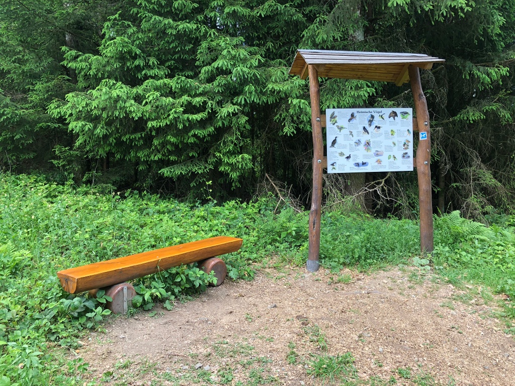 Die Infotafel gibt einen Überblick über die heimischen Vogelarten