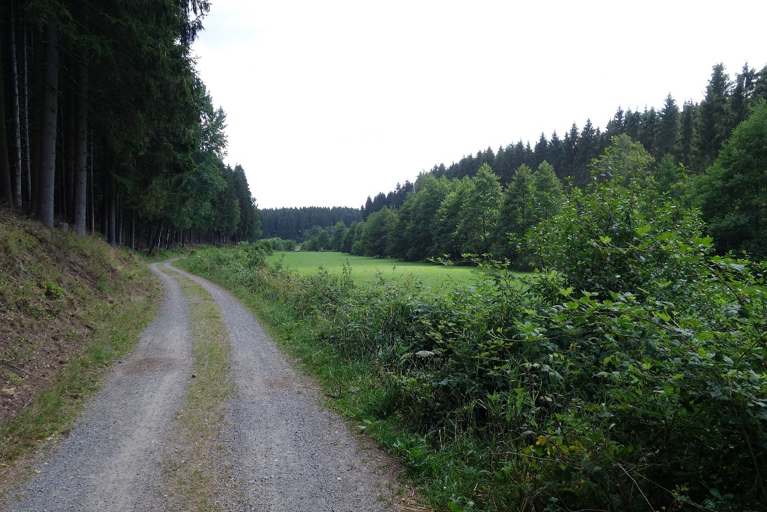 Breite Wege begleiten uns durch das Tal