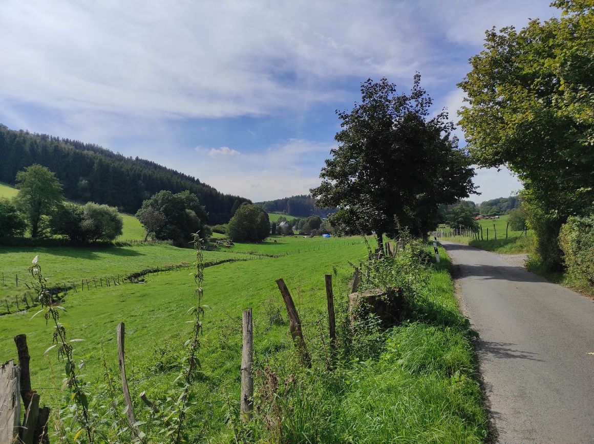 Entlang der kleinen Straße hinein ins Schlechtenbachtal